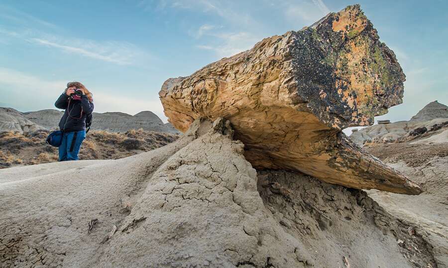 Gran tronco petrificado sobre una loma de arcilla