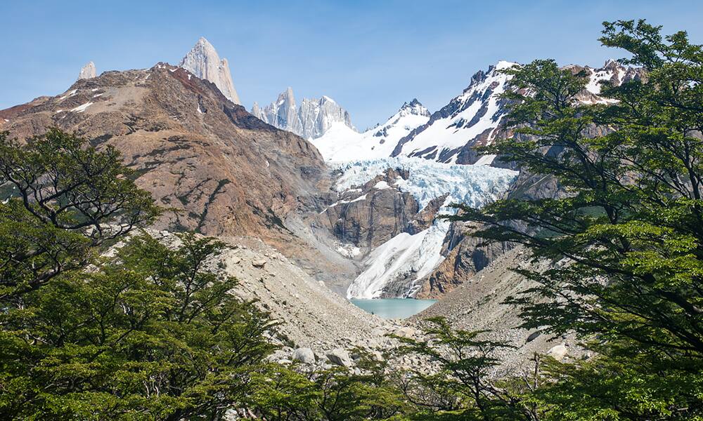 El glaciar Piedras Blancas entre las lengas