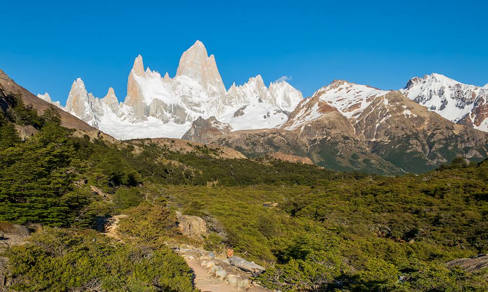 El Fitz Roy asoma sobre el bosque del valle del arroyo del Salto