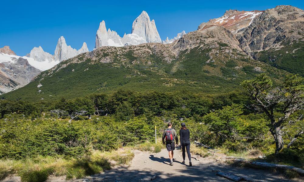 Caminantes saliendo del bosque del Campamento Poincenot, antes del tramo más exigente
