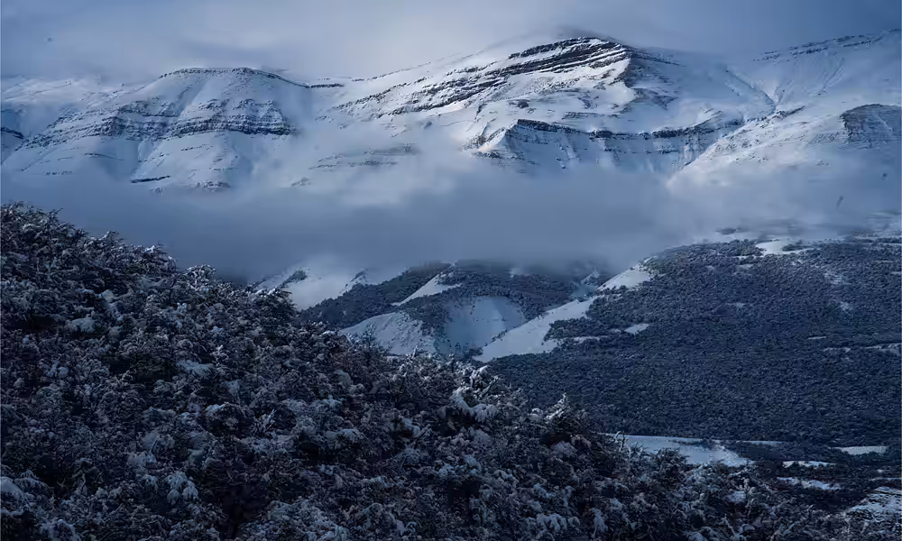 Paisaje nevado