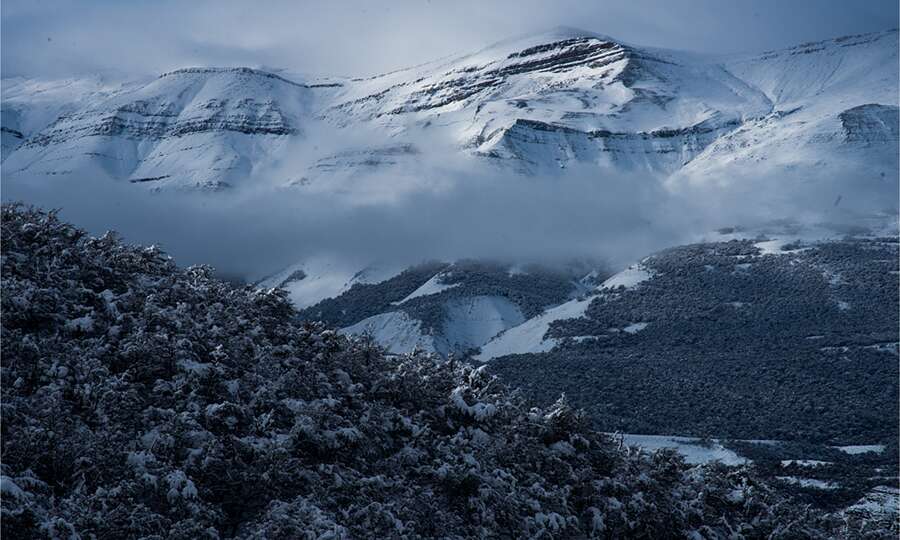 Paisaje nevado