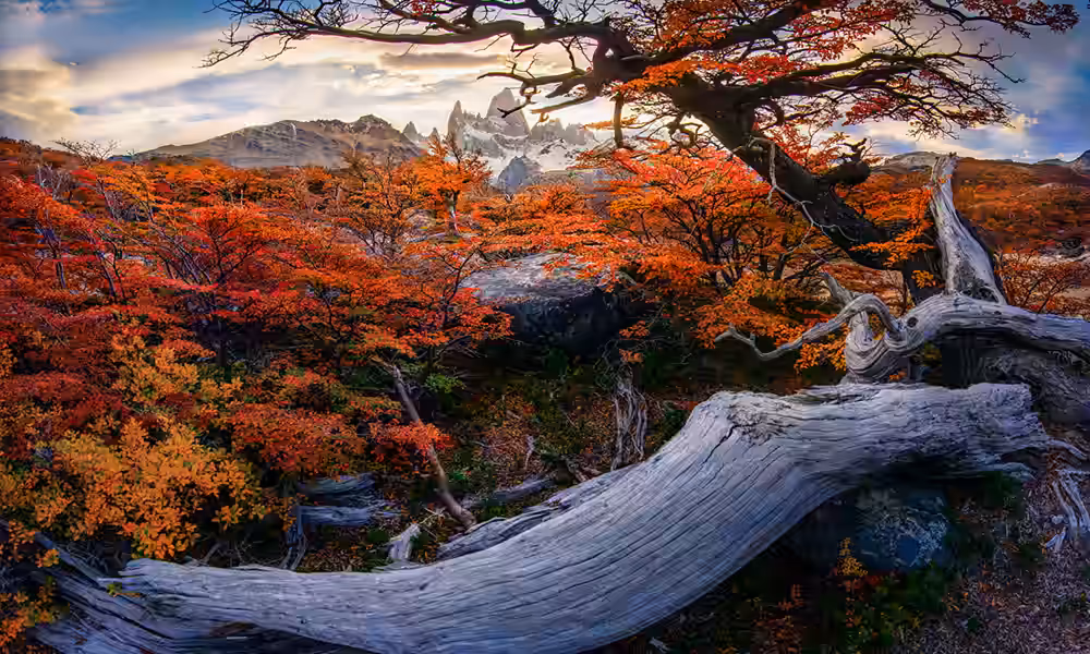 Vista panorámica de los Andes australes en otoño