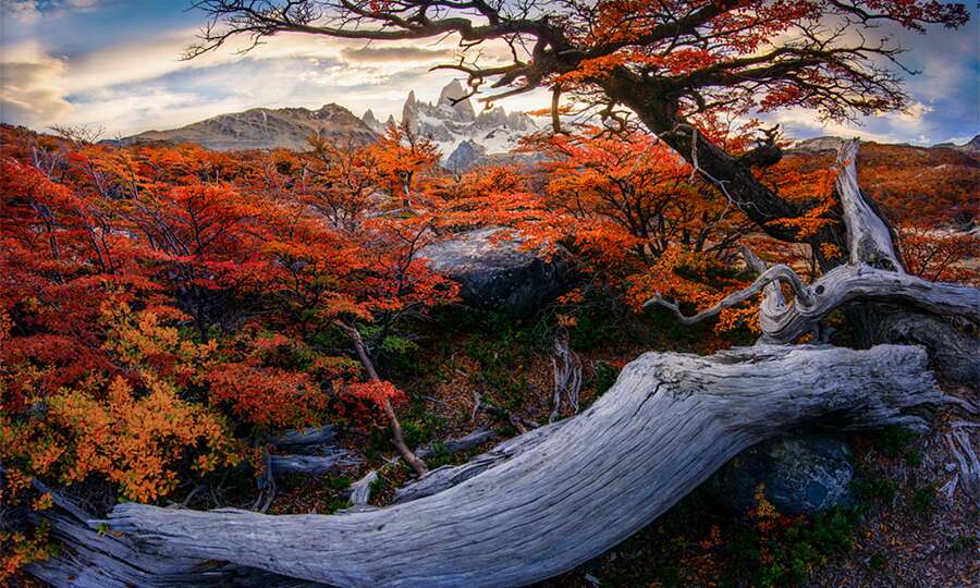 Vista panorámica de los Andes australes en otoño