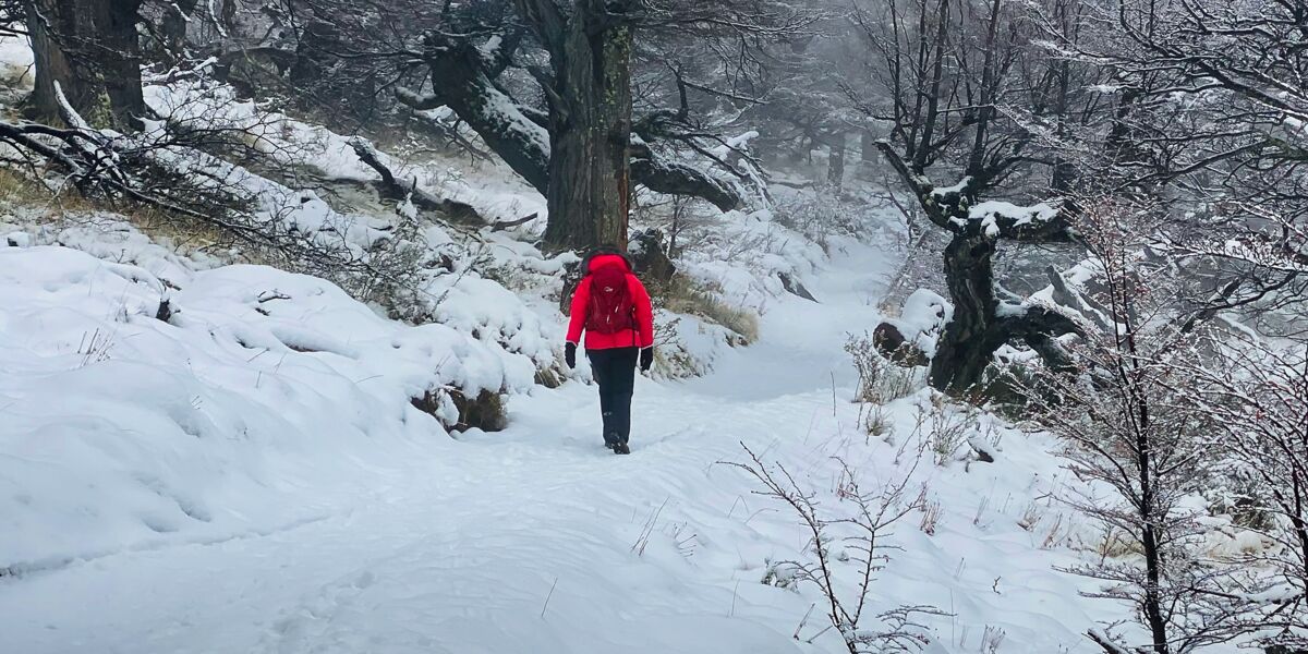 Caminante con campera roja y mochila por un sendero cubierto de nieve, entre lengas nevadas y niebla